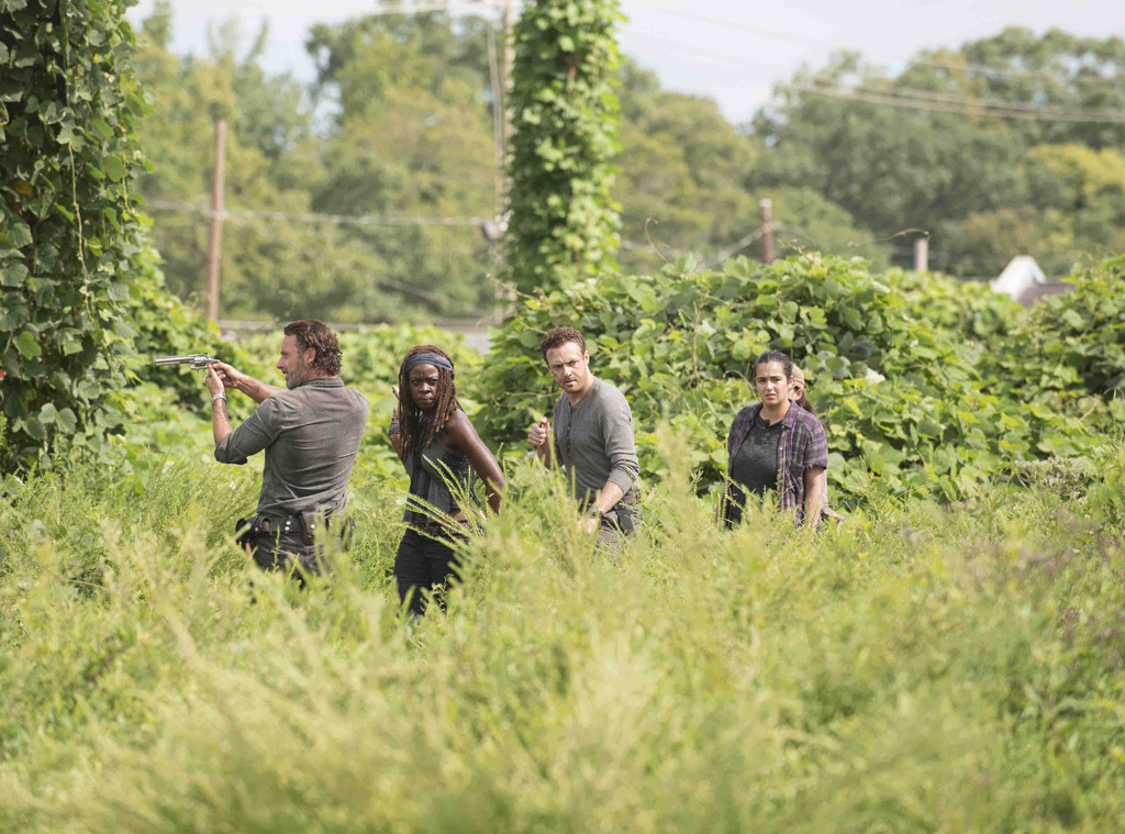 The Walking Dead The Walking Dead